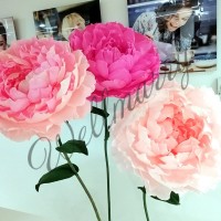 Аренда ростовых бумажных цветов "Пионы розовые"